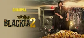 Blackia 2 (2024) Punjabi CHTV WEB-DL H264 AAC 1080p 720p 480p ESub