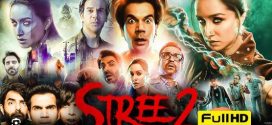 Stree 2: Sarkate Ka Aatank 2024 Hindi Movie 1080p | 720p | 480p HDRip ESub Download